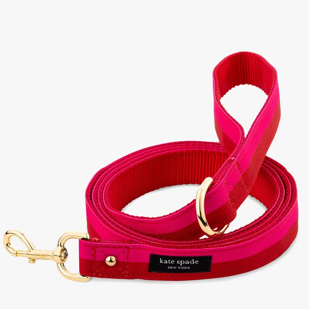 kate spade Vibrant Pink Belt with Gold Hardware